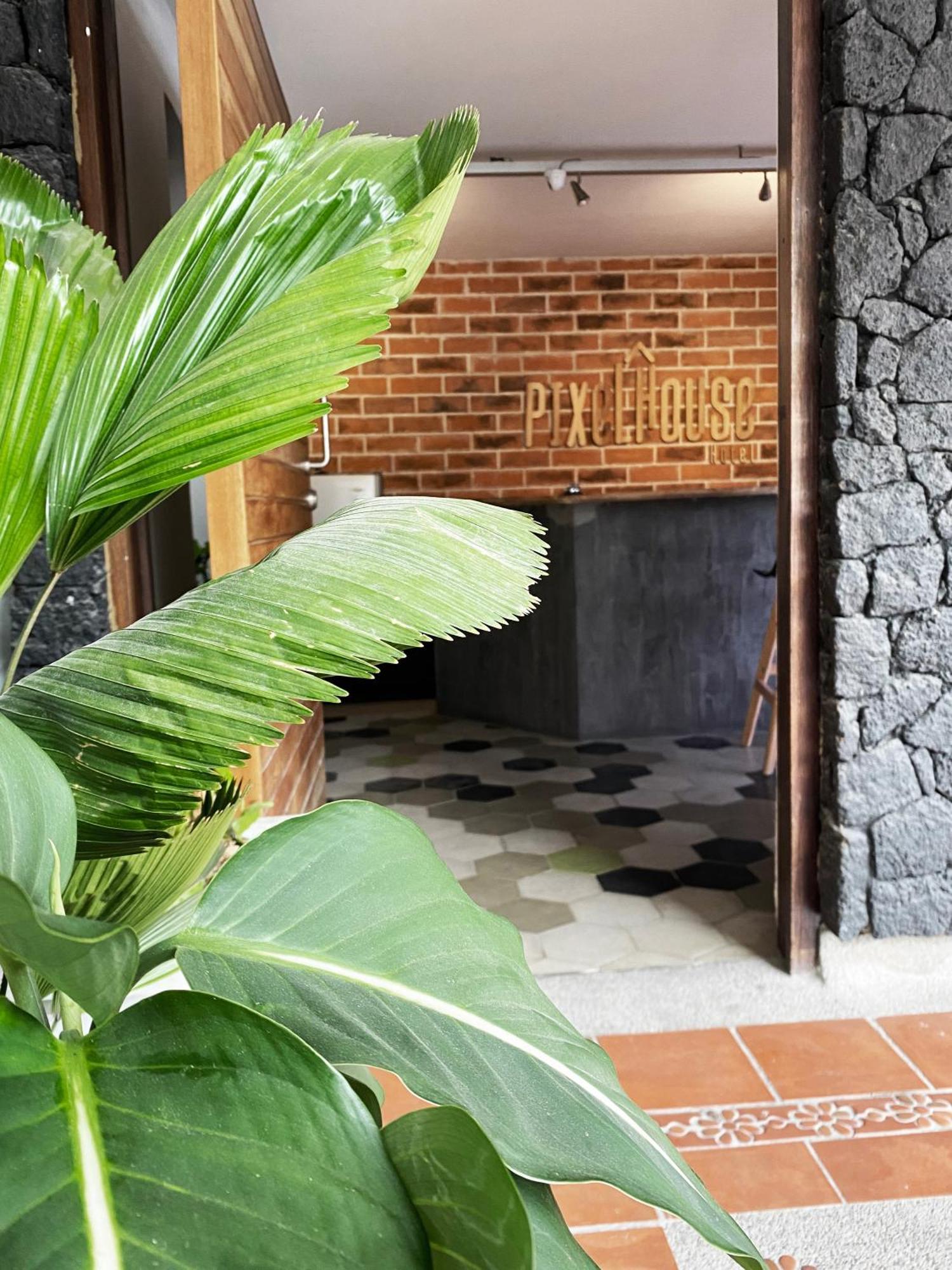 Ayenda 1224 Pixel House (Adults Only) Hotell Medellín Eksteriør bilde